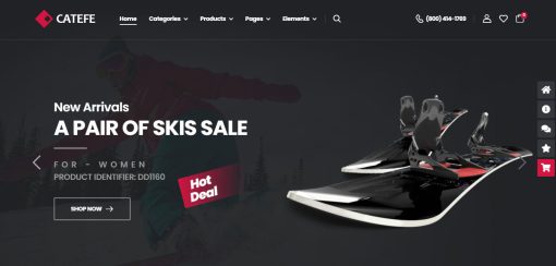 Catefe - Sport Shop Website Design