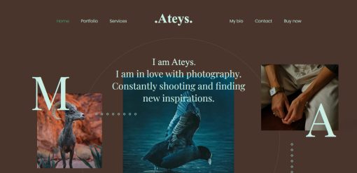 Ateys- Photography Website Design