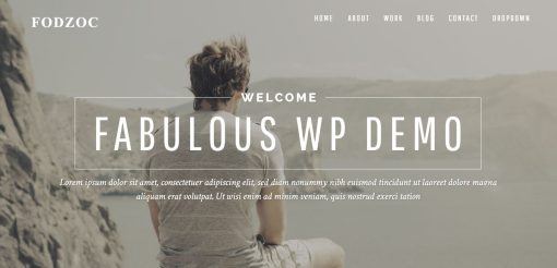 Fodzoc- Photography Website Design