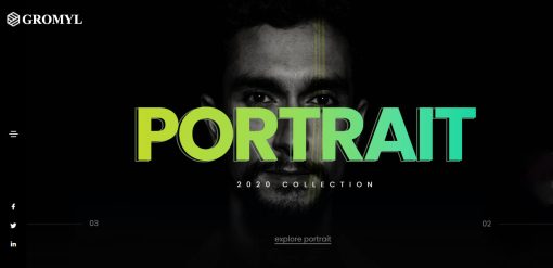 Gromyl- Photography Website Design