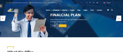 Henotus  - Consulting Finance Website Design