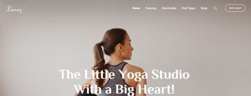 Lunaz - Fitness Studio & Pilates Club Website Design