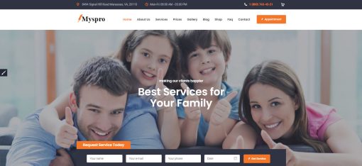 Myspro - Electricity Services Website Design