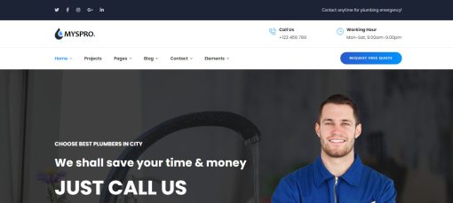 Myspro - Plumber Website Design