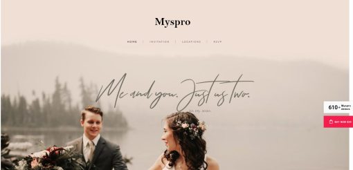 Myspro- Photography Website Design