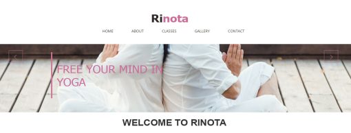 Rinota - Responsive Website Design