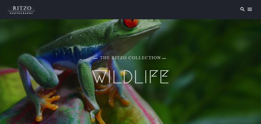 Ritzo - Photography Website Design