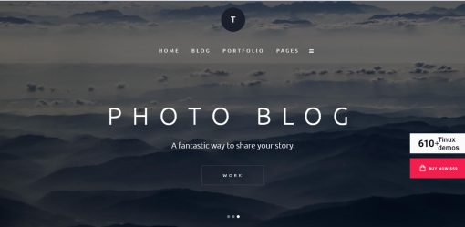 Tinux- Photography Website Design