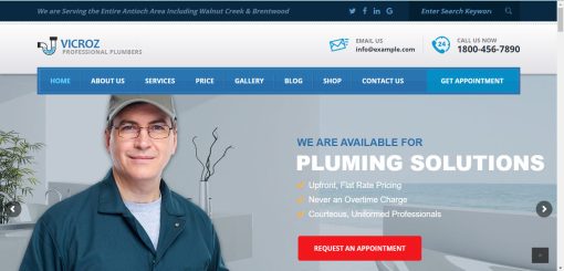 Vicroz - Plumber Website Design