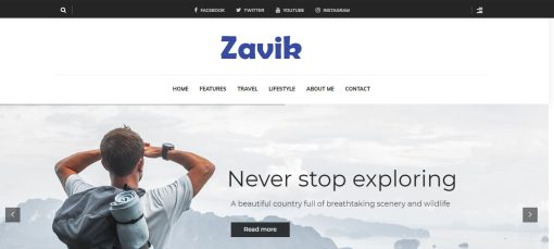 Zavik - Travel Blog Website Design