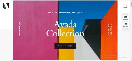 Avada - Galerie Website Design