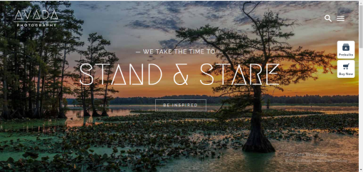 Avada– Photography Website Design