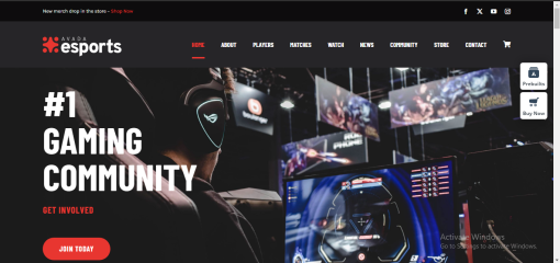 Avada – Esports Website Design