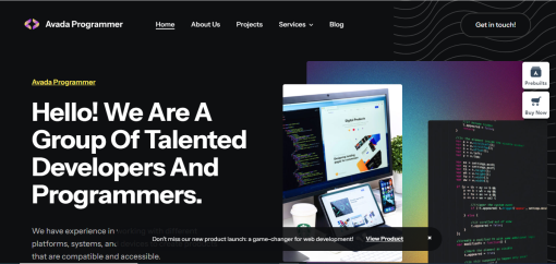 Avada– Programmer  Site Design